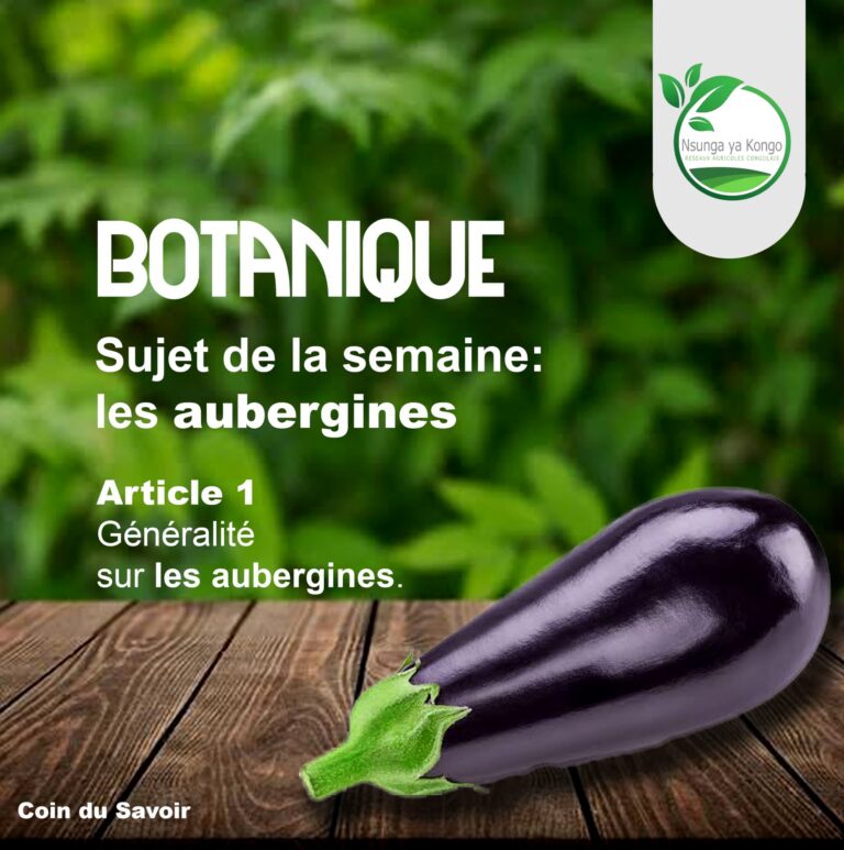 Botanique