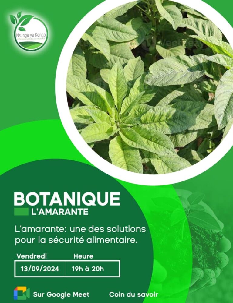 Bontanique Amaranth