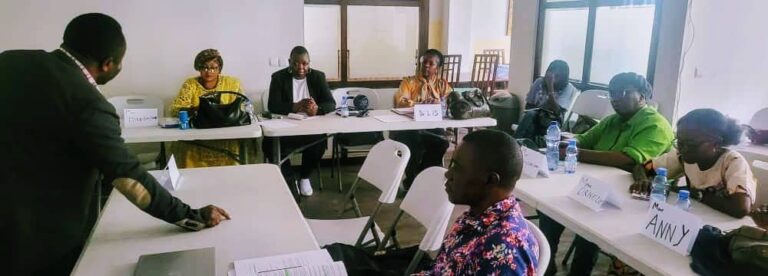 Première journée de formation pour les membres du réseau Nsunga ya Kongo à Wallonie-Bruxelles