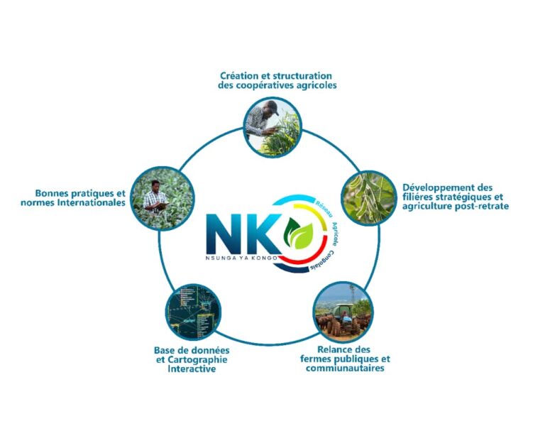 NK Projects