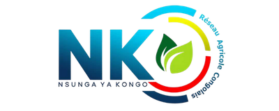 Nsunga Ya Kongo Logo